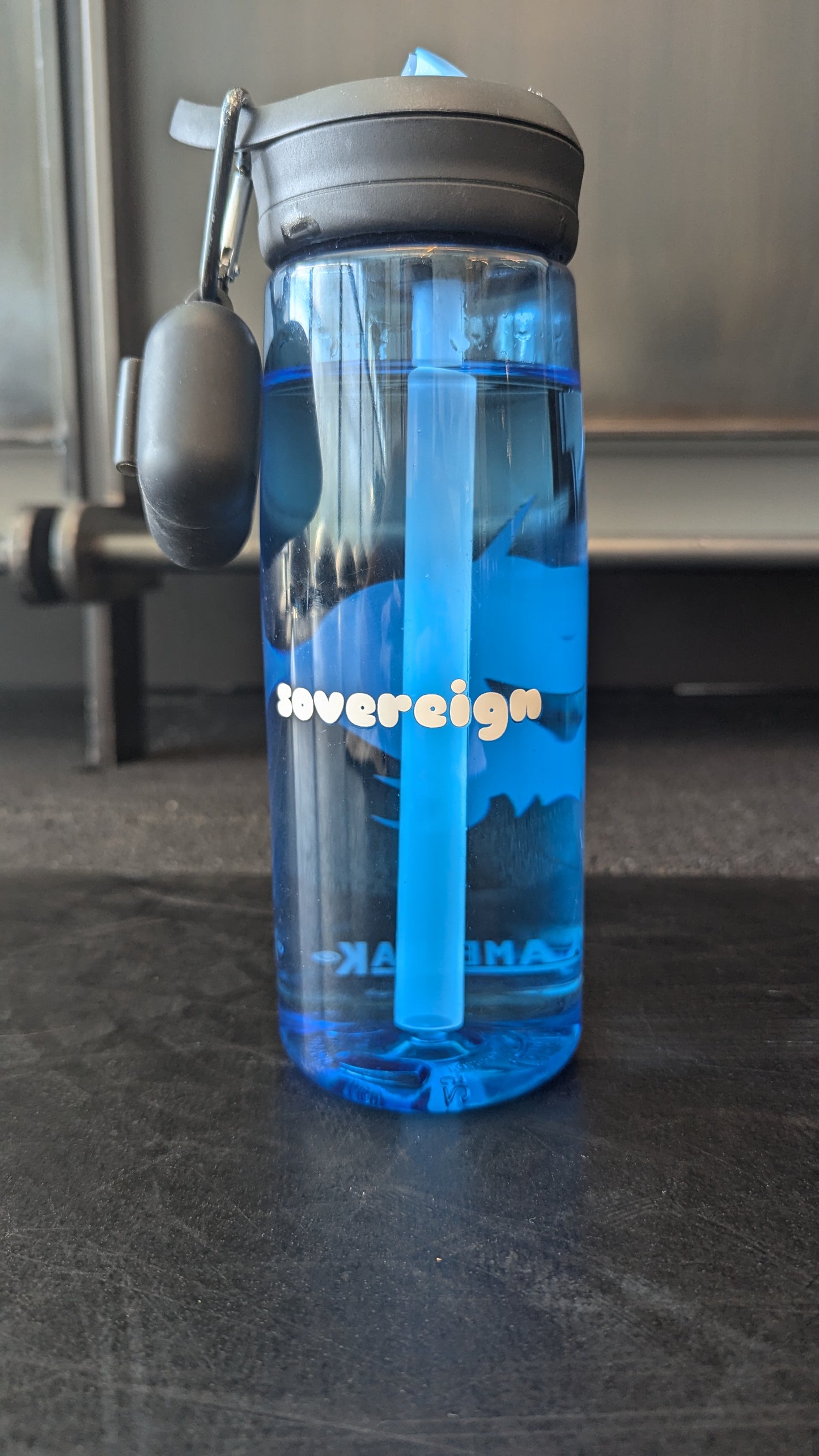 Sovereign's Signature Logo Sport Water Bottle